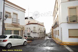36 DALIAS (88)